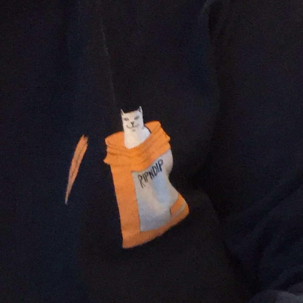 Meet your Posher, Samantha